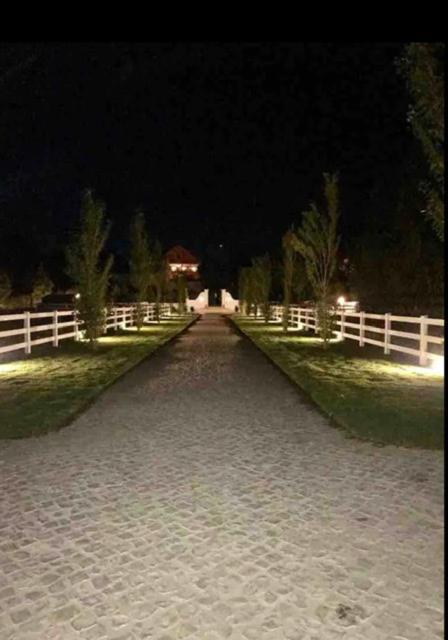 Casa Pitta Charm Villa Santarém Εξωτερικό φωτογραφία